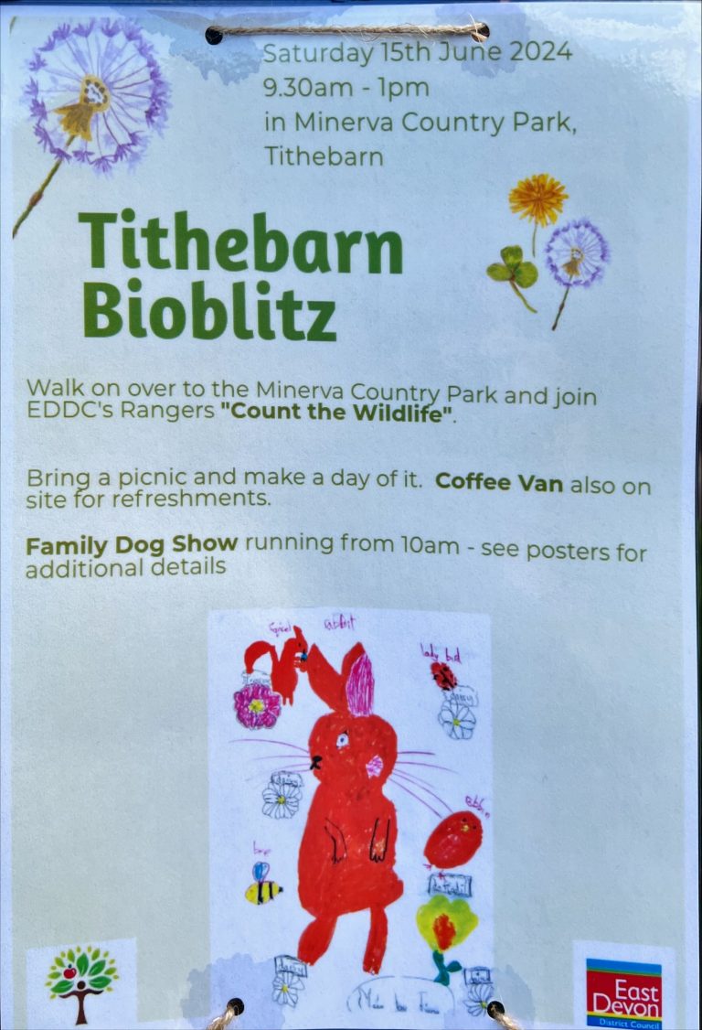 BioBlitz & Fun Day 2024