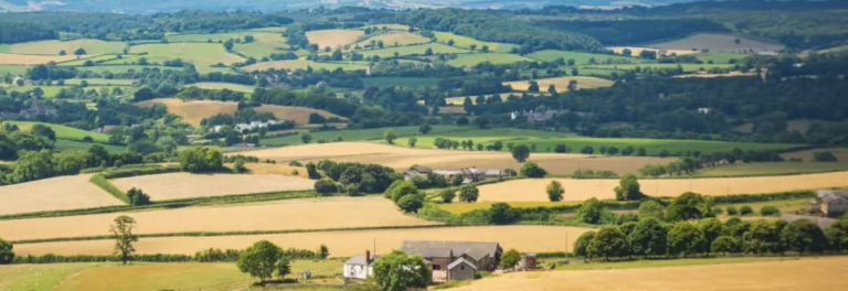 Photograph of landscape of East Devon fields with patchwork of yellow and green.